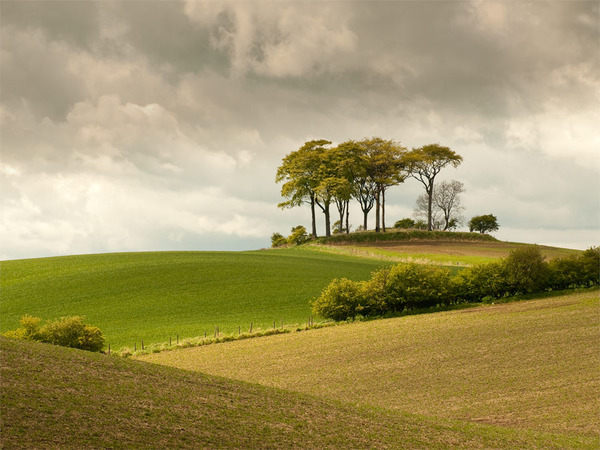 Photography Course Scotland landscapes Scottish, trees clouds 
 crops fields